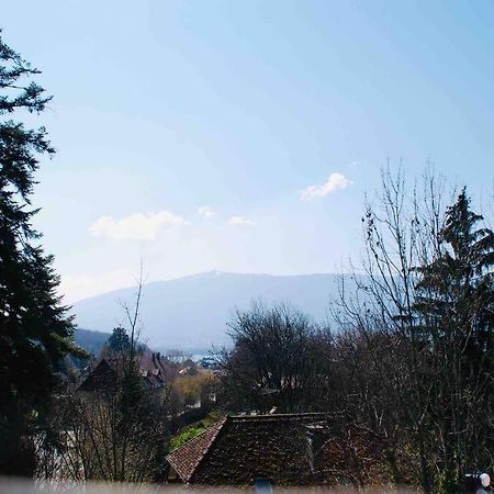 Maison 3 Chambres Au Lac D'Annecy, 30Min La Clusaz Menthon-Saint-Bernard Eksteriør billede
