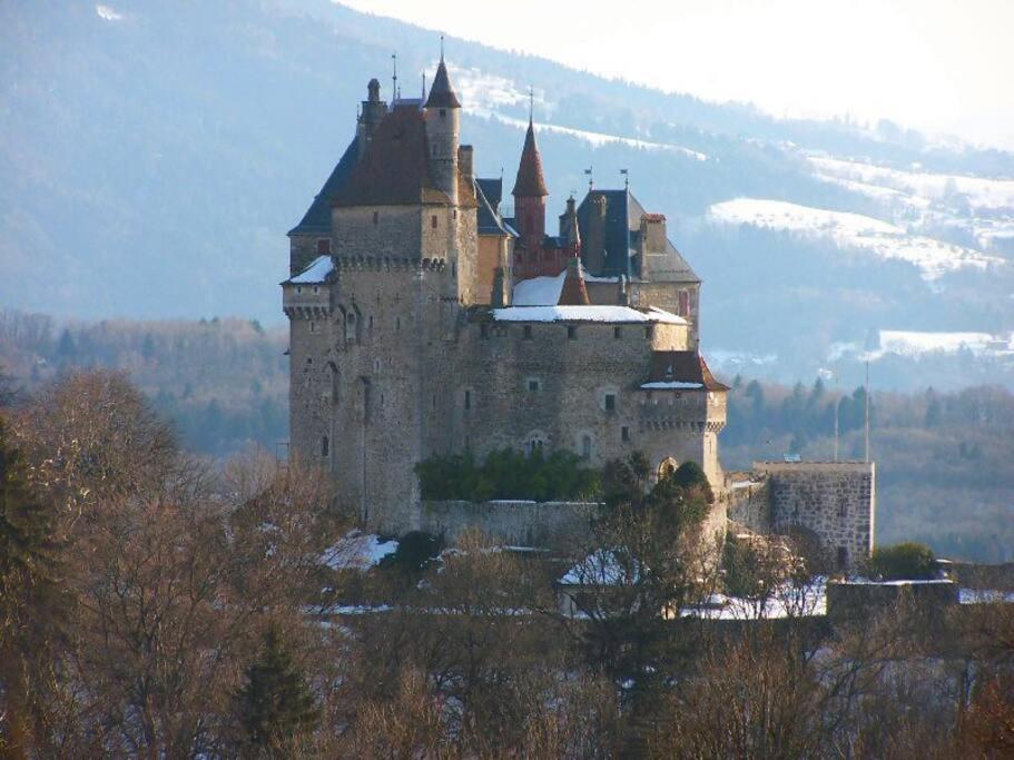 Maison 3 Chambres Au Lac D'Annecy, 30Min La Clusaz Menthon-Saint-Bernard Eksteriør billede