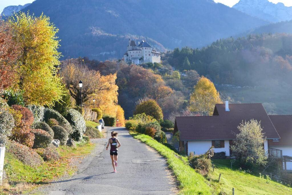 Maison 3 Chambres Au Lac D'Annecy, 30Min La Clusaz Menthon-Saint-Bernard Eksteriør billede
