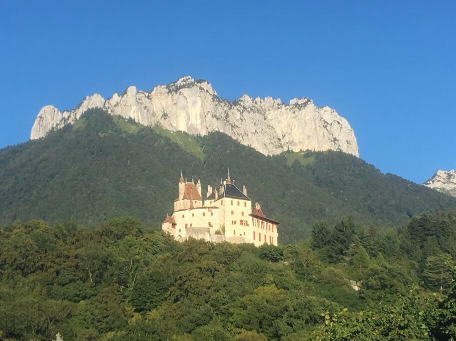 Maison 3 Chambres Au Lac D'Annecy, 30Min La Clusaz Menthon-Saint-Bernard Eksteriør billede